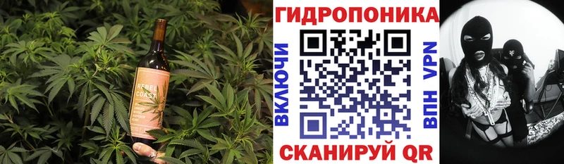 darknet наркотические препараты  где найти   Карачев  Еда ТГК конопля 