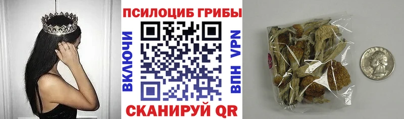 купить наркоту Карачев Псилоцибиновые грибы мухоморы